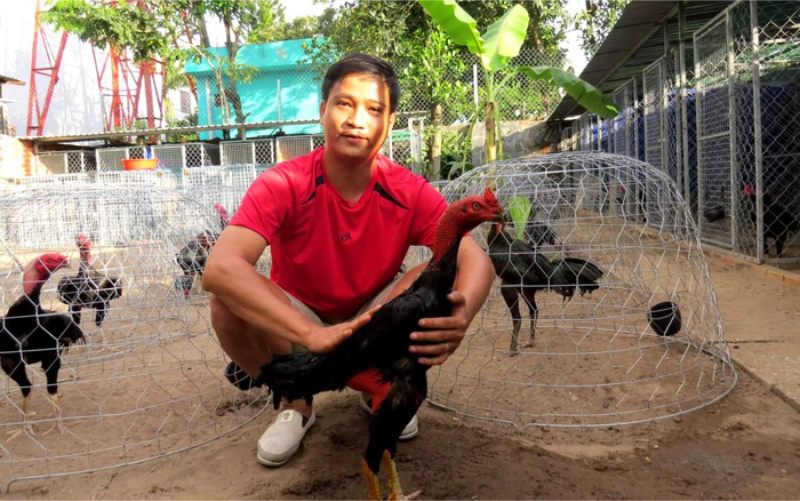 Xây dựng môi trường sống và chuồng trại lý tưởng